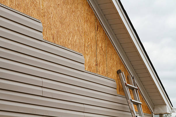 Professional Wood Siding technician working in Oak Hill, FL